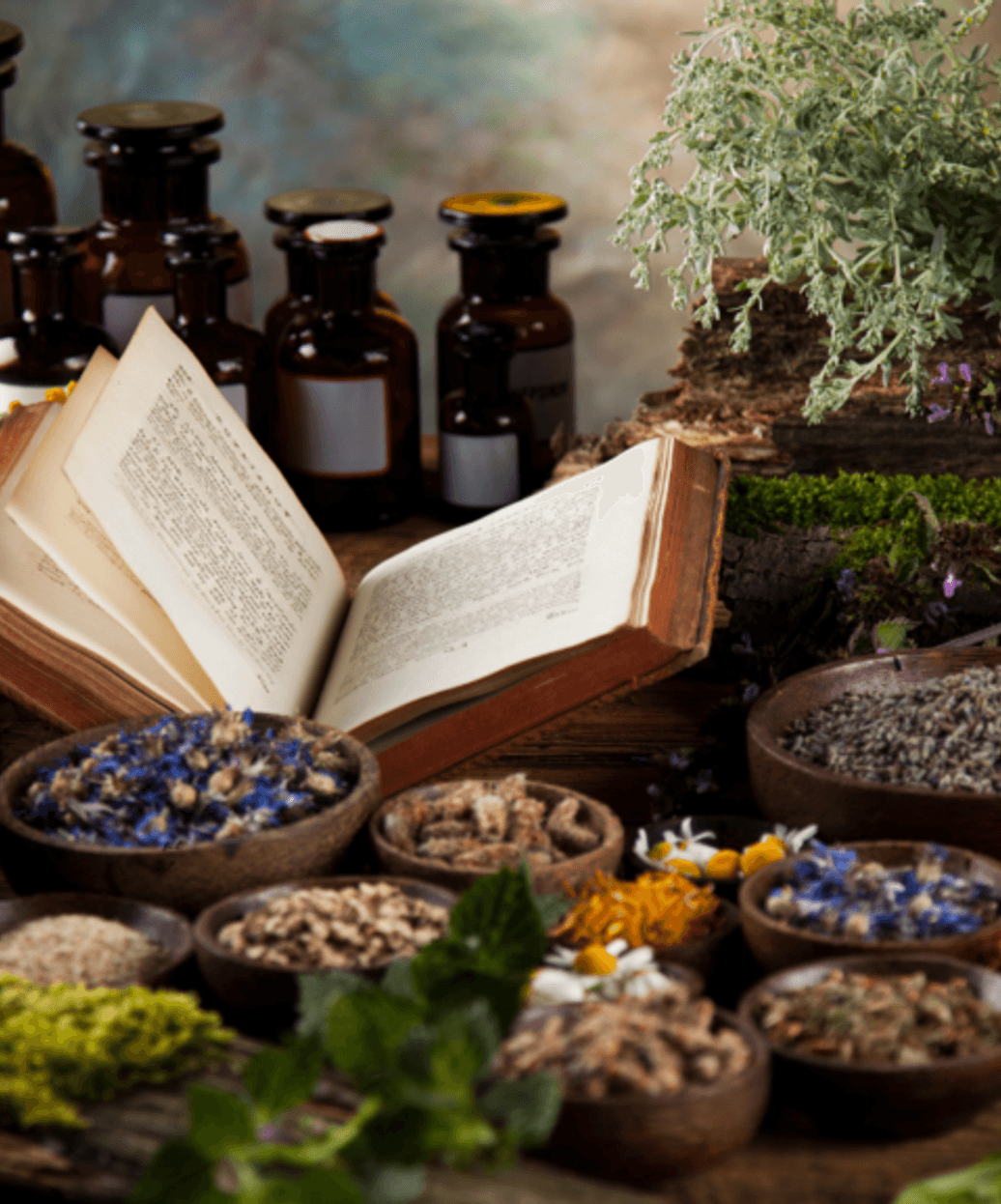 Herbal medicine for women's health and family wellness